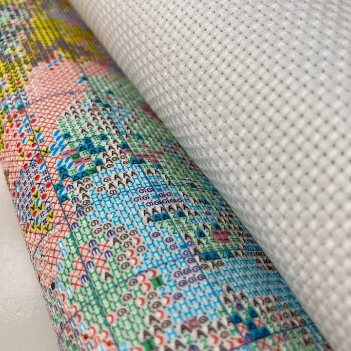 [CC4223-Otter with Pearl Earri - Cross Stitch Stamped Kits Beginners 评论和价格